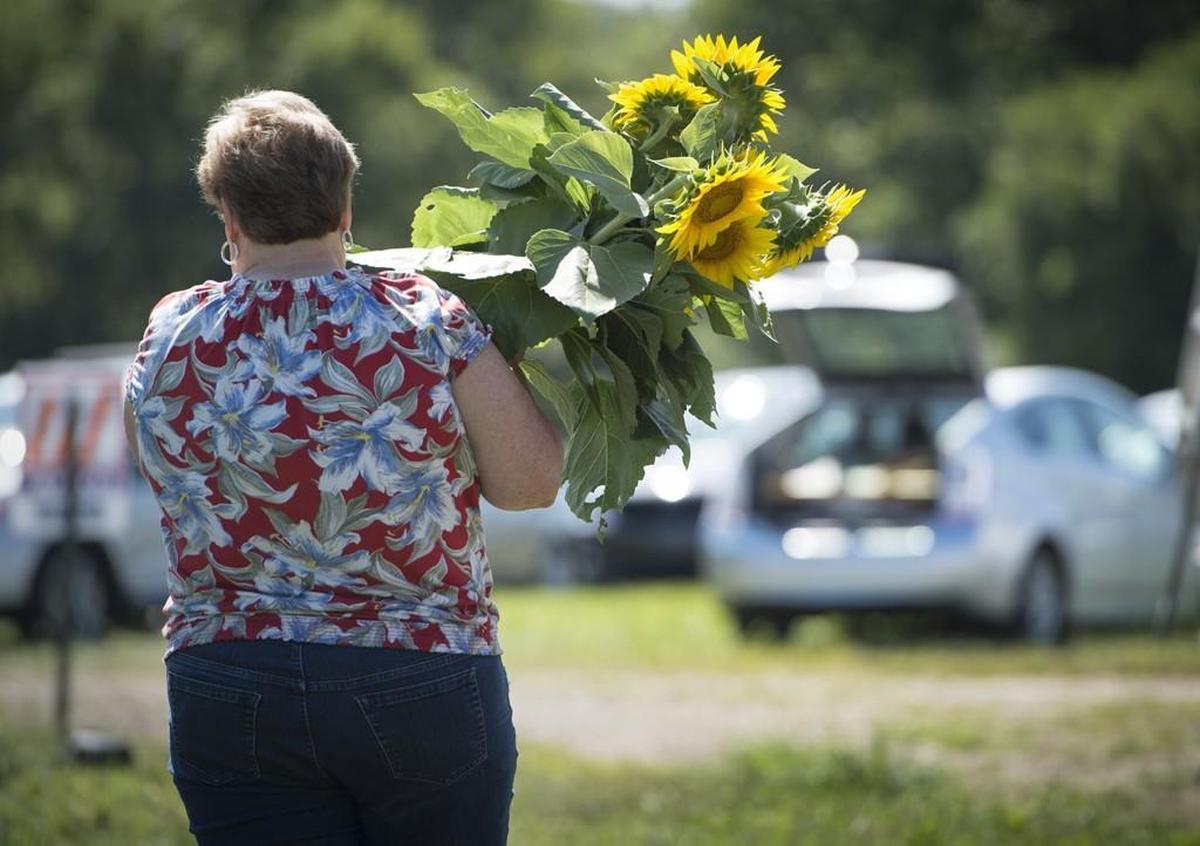 A visitor leaves Grinter Farms with an armful of sunflowers in 2016. The farm recently asked visitors not to cut the season’s first blooming flowers and to leave a donation for any cut flowers.