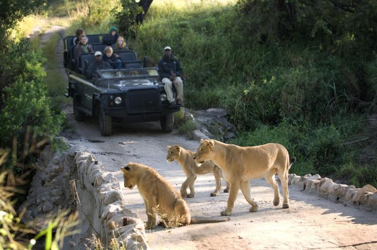 In addition to luxe accommodations, Lion Sands Game Reserve offers up-close viewings of wildlife.