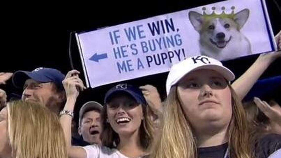 
Katie Castan and boyfriend Joe Onofrio (left) made national TV during Tuesday’s Wild Card Game. Now everyone wants to know when she’s getting her pup.
