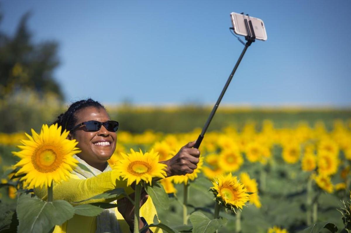 “I planned my outfit to match the flowers,” said Stephanie Anderson of Kansas City as she took a selfie during her visit to the field of sunflowers at Grinter Farms in 2016.