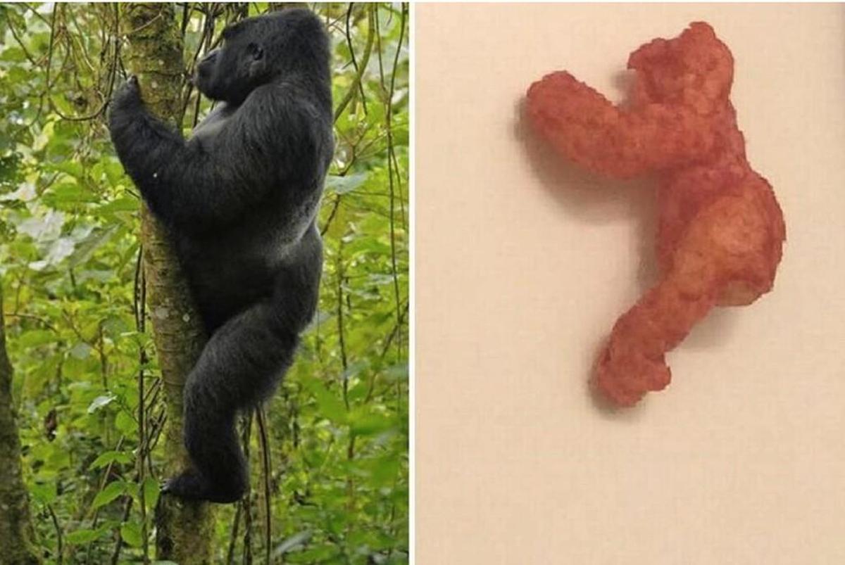 A Harambe-shaped Cheeto sold for nearly $100,000 on eBay.