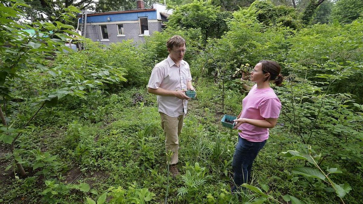 
Jeff Helkenberg and Jessica Logsdon have a high-density urban forest at their Pink Pony Farms, in which herbs and grains pop up among the fruit trees and bushes. The Kansas City farm will be one of 30 stops on Cultivate KC’s Urban Grown Tour of Farms & Gardens this weekend.
