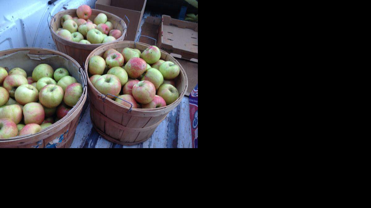 
Honeycrisp apples
