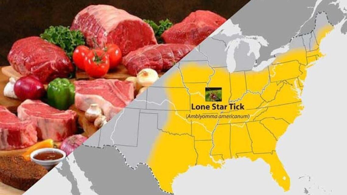 Missouri prevalence of antibodies causing red meat allergy is high, study says