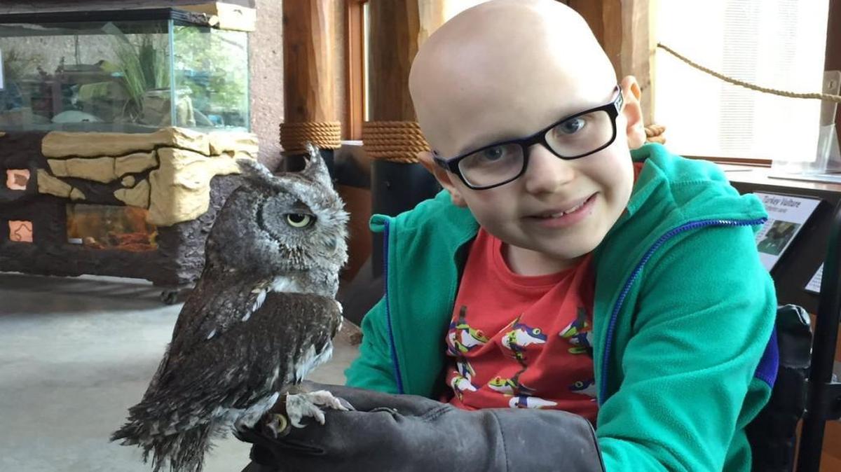 This photo on Alexander Goodwin’s Twitter feed Monday included the caption: “Had an amazing time at the Lakeside Nature Centre. Thank you Kim, Jacqui, Jessie. I held some beautiful birds of prey. I am very happy.”