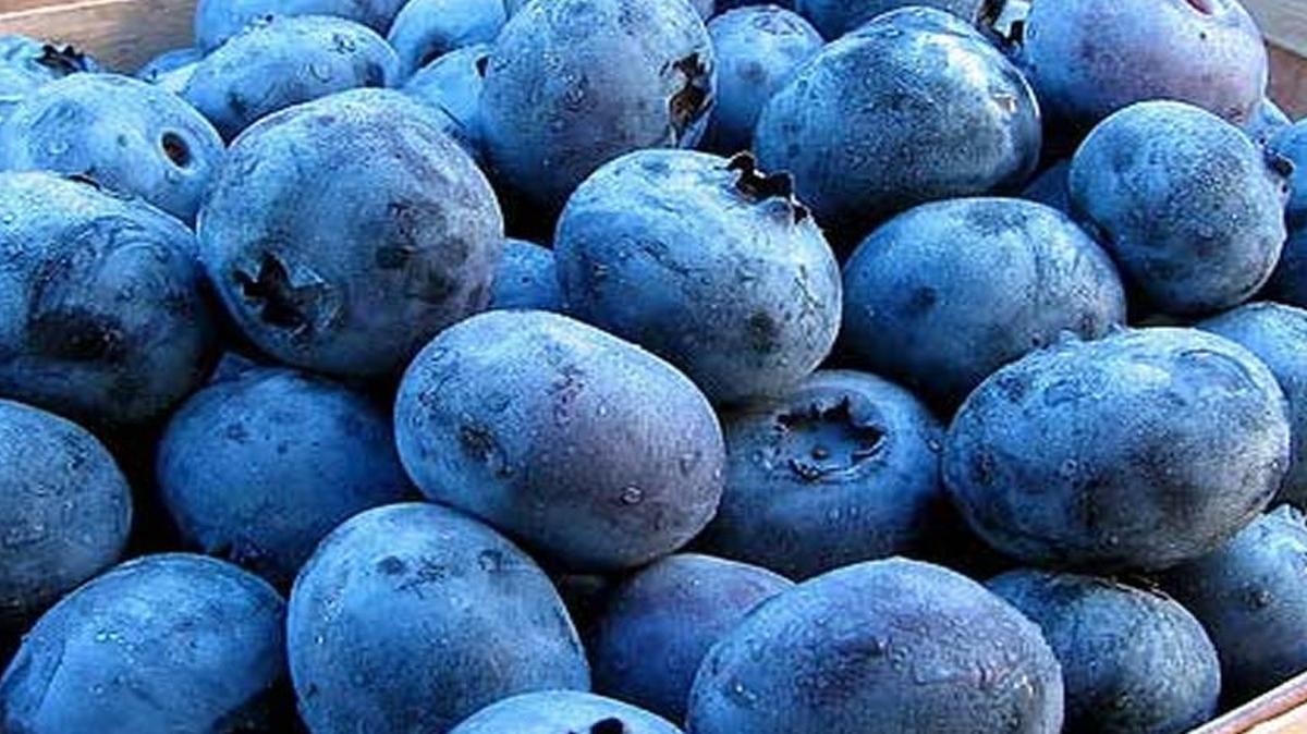 Blueberries are the key ingredient to a perfect Fourth of July coffeecake.
