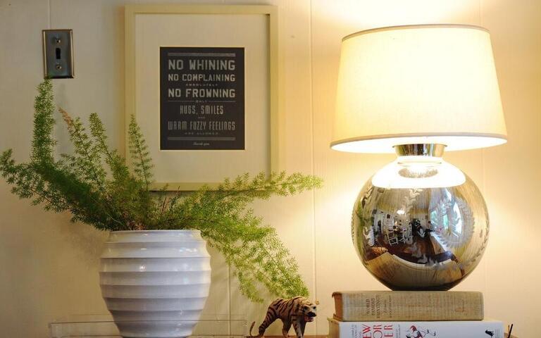 How to care for houseplants in the winter: Think light, not water or fertilizer