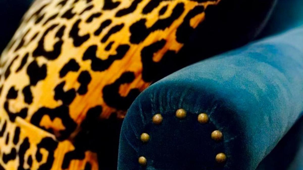 Velvet is a sensational way to bring a color story to life because it gives every tone a depth and richness second to none.