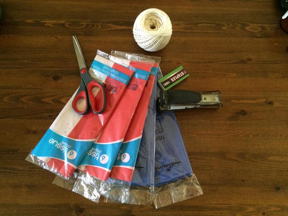 Supplies for tissue paper pompoms. 