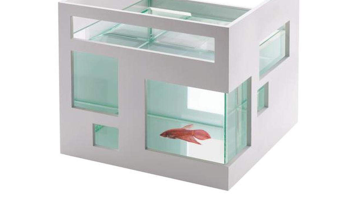 
The Fishhotel, $35 at umbra.com


