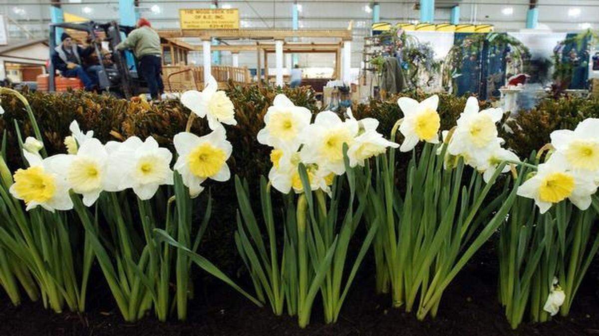 
The KC Remodel + Garden Show, which draws more than 500 exhibitors featuring home and garden products, will take place Feb. 6-8 at the American Royal Center.
