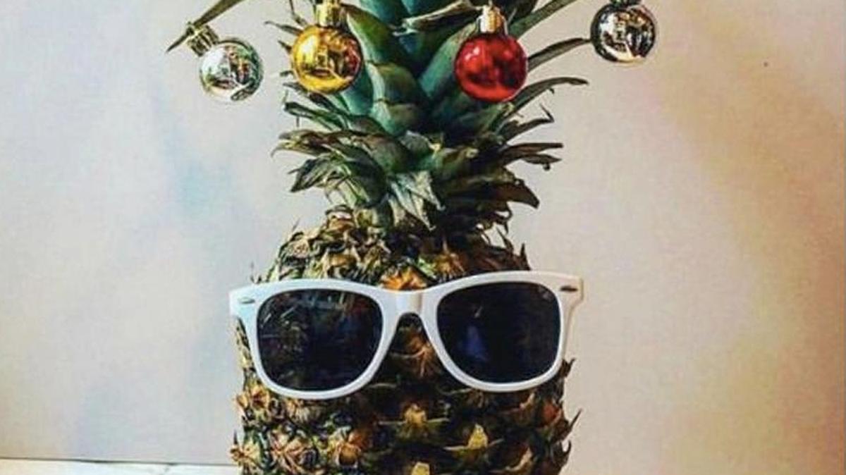 According to Pinterest, one of the hottest trends this holiday season is decorating pineapples like Christmas trees. Mele Kalikimaka, everyone.