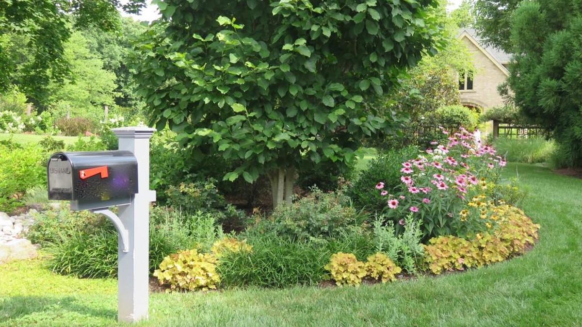 The mailbox doesn’t actually have to be standing among the plants in a mailbox garden — a strip of grass separating the plantings from the mailbox looks tidy and sharp.