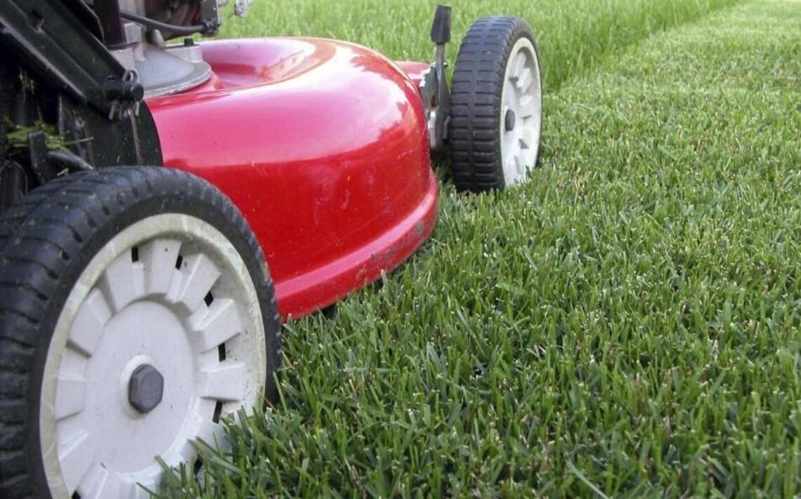 Unseasonably warm February in Kansas makes lawn care confusing. Here’s what to avoid