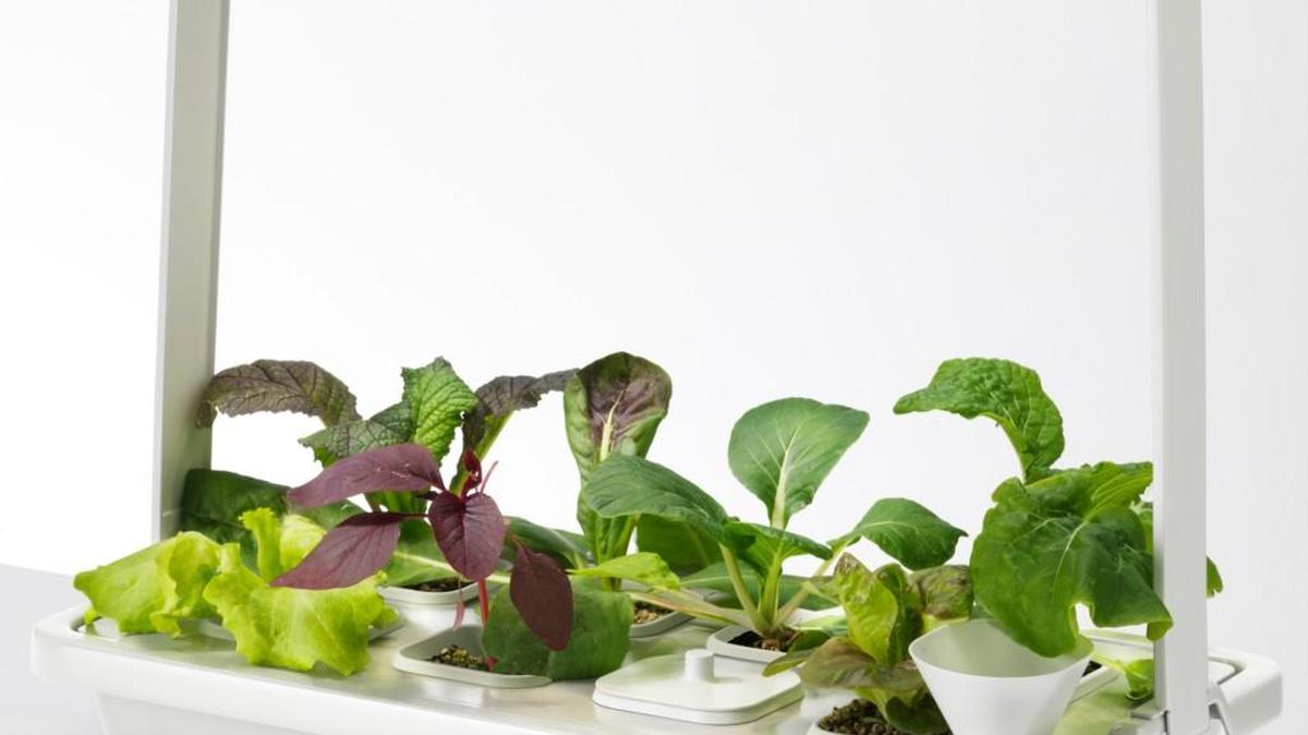 Ikea’s KRYDDA/VÄXER hydroponic garden will be available in May.
