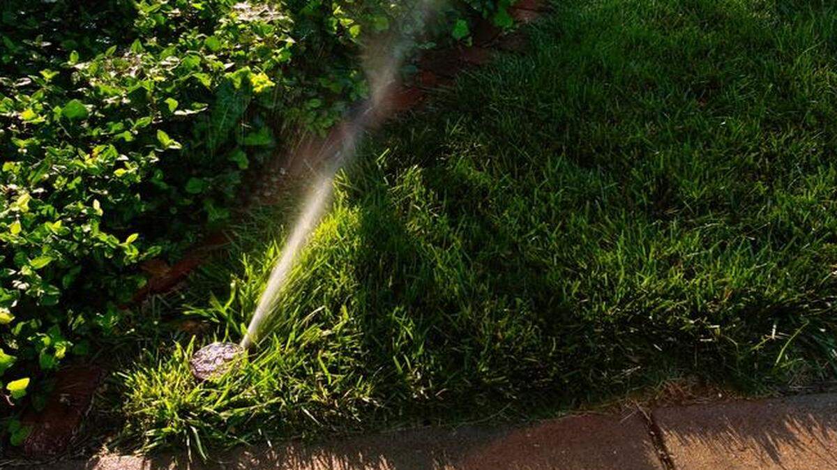 Delay watering your lawn for as long as possible.