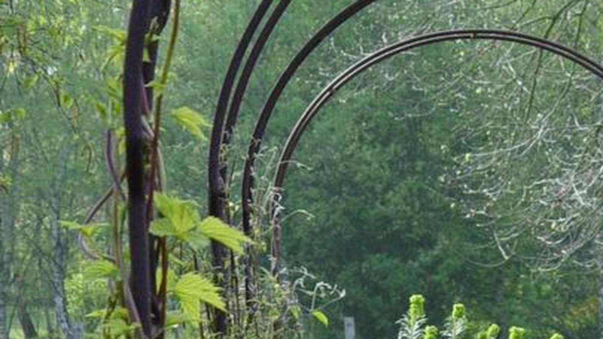 This country urn is used as a terminal focal point, just as it could have been used in 18th-century British formal gardens.