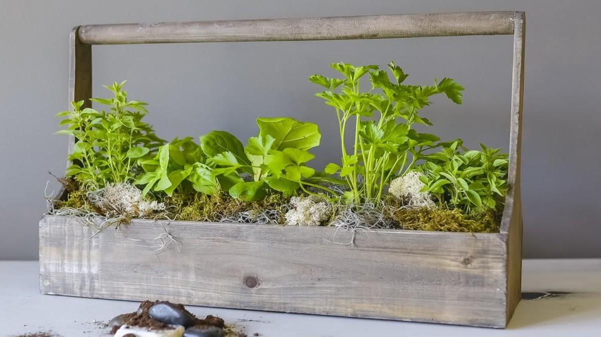 The Fiddly Fig in Brookside can create an herb box similar to this one for $80.