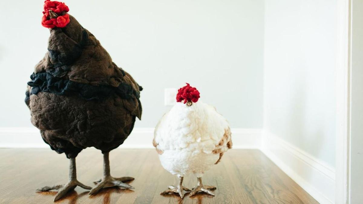 If you’re looking for a truly unique gift for someone with a country flair, this hand-crafted, felted-wool chicken foot stool is for you, er, them. You can adopt similar chickens at George, A Lifestyle Store in Crestwood, the only bricks-and-mortar shop that carries them.
