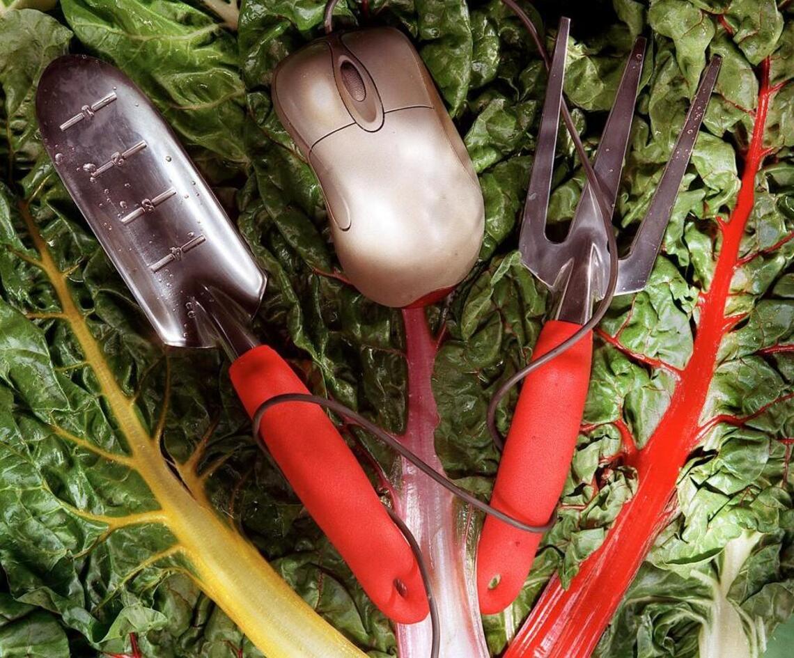 Holiday gift ideas for gardeners