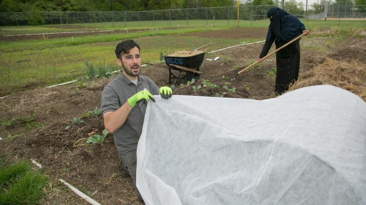 Bobby Wright, a Community Partner Garden coordinator, demonstrates how to secure row cover material over a wire frame.
