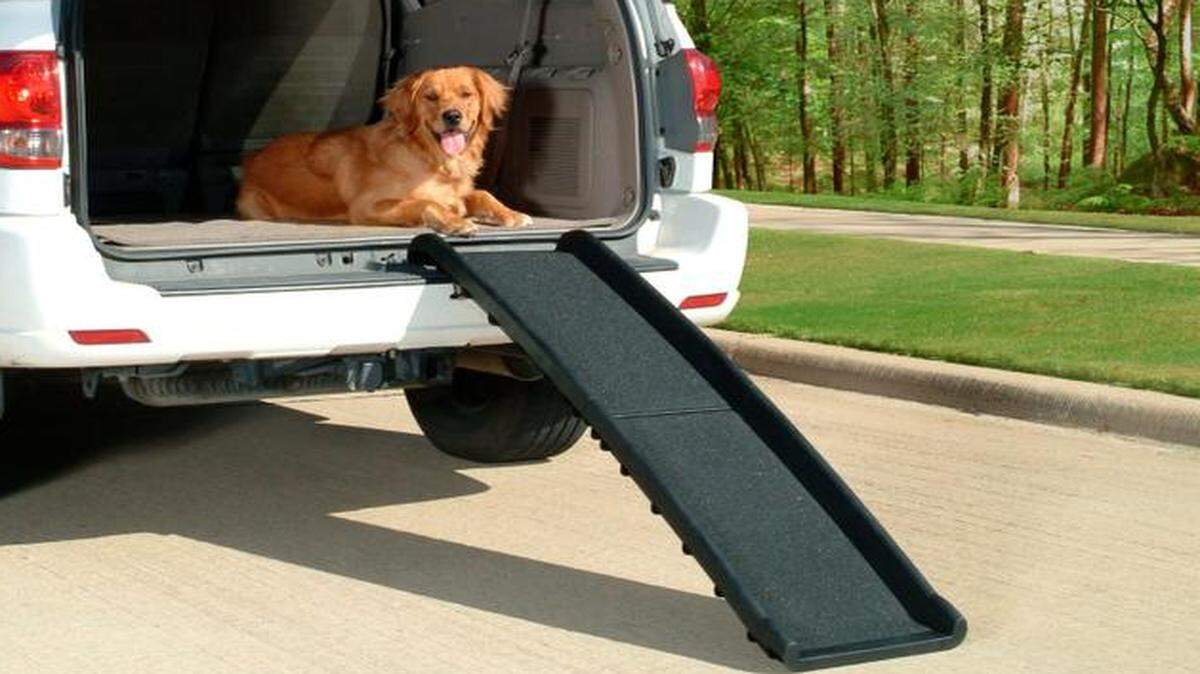 
Arthritic dogs might find a high-traction ramp, sold at Wayfair.com, helpful for outdoor trips. The ramp attaches to the lift of an SUV. It’s handy for travel or car errands. 
