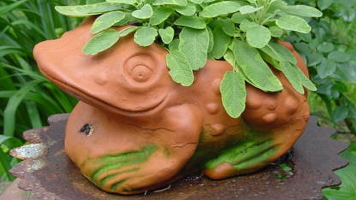 Extend the life of your terra cotta pots by emptying them and storing them inside during the winter.