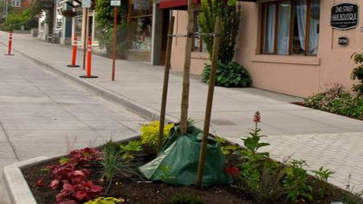 
Frequent watering is often difficult at curbside plots, but slow-release water bags are one solution. The bags, which are refilled just once or twice a week, keep trees watered until their roots are established.
