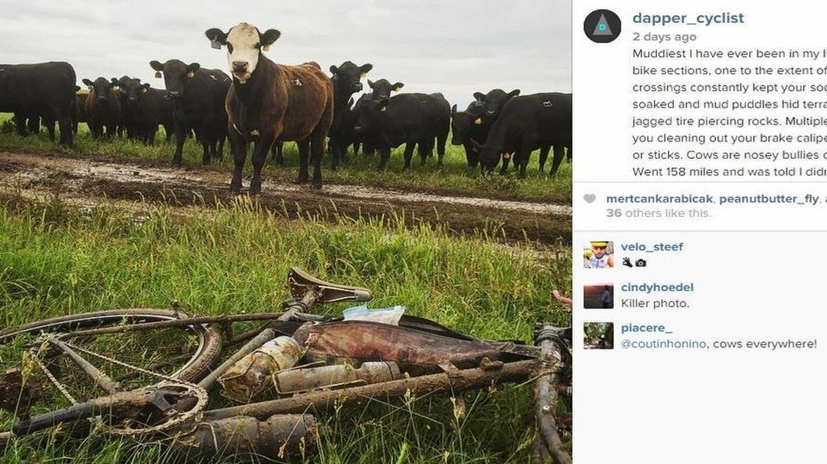 
Here’s one Dirty Kanza rider’s impression of the ride through the Flint Hills: mud and cows.
