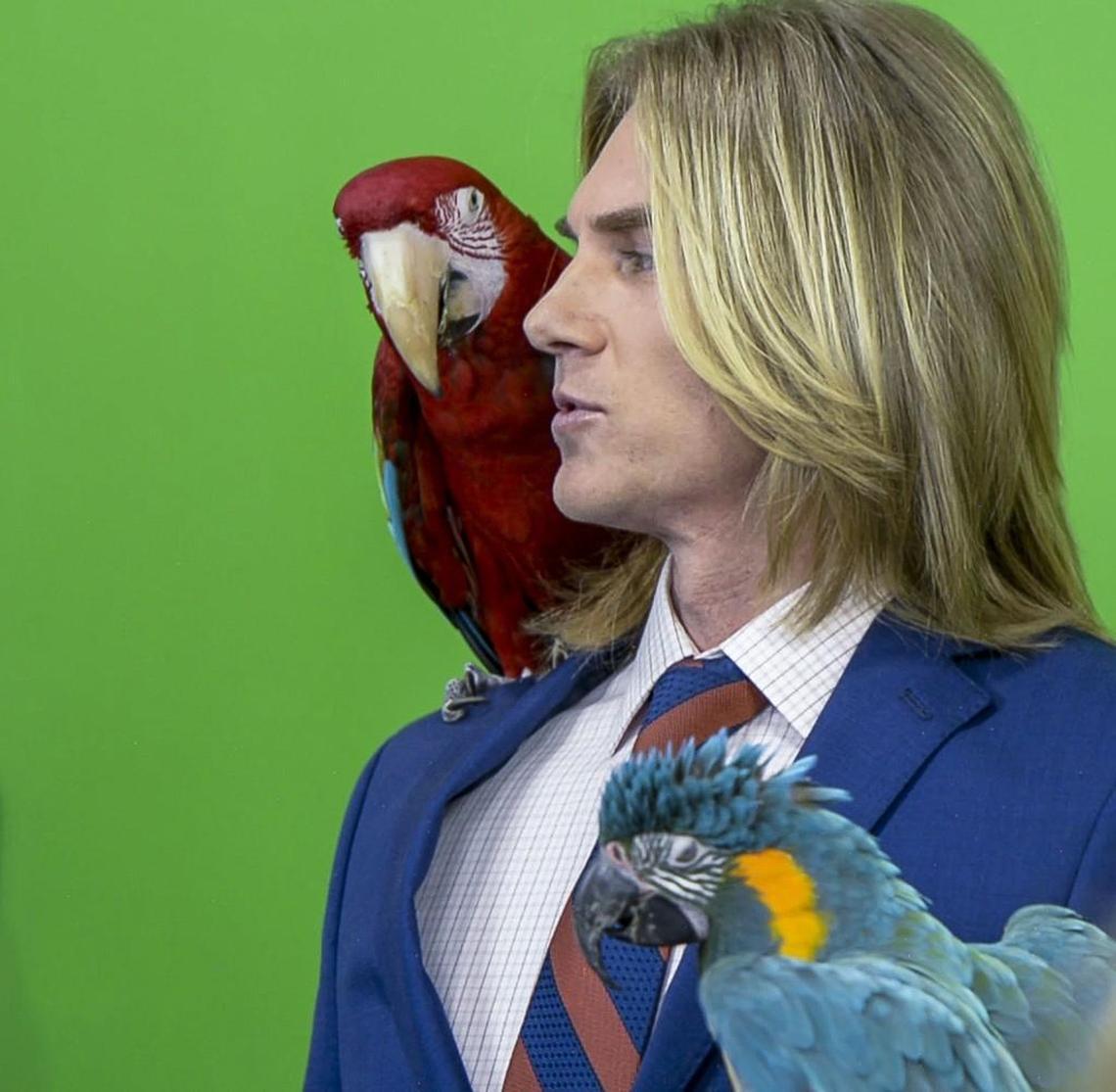 Tristen Woods, aka Tarzan the Lawman, shared scenes with Macaw parrots during a shoot for a Spanish language commercial at Univision studios on Kansas City’s Westside.