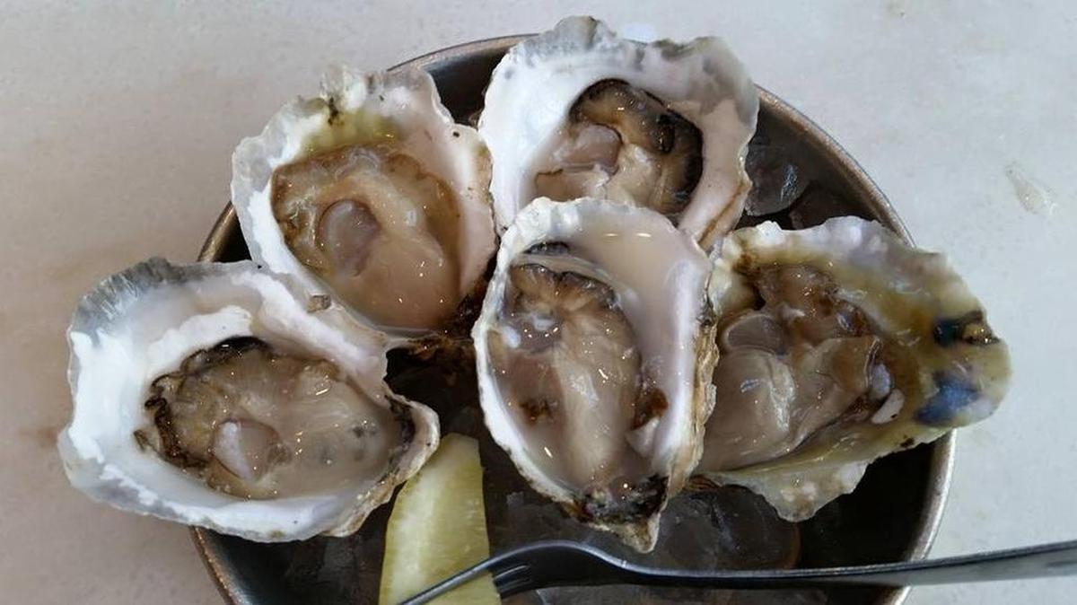 
Freshly shucked oysters
