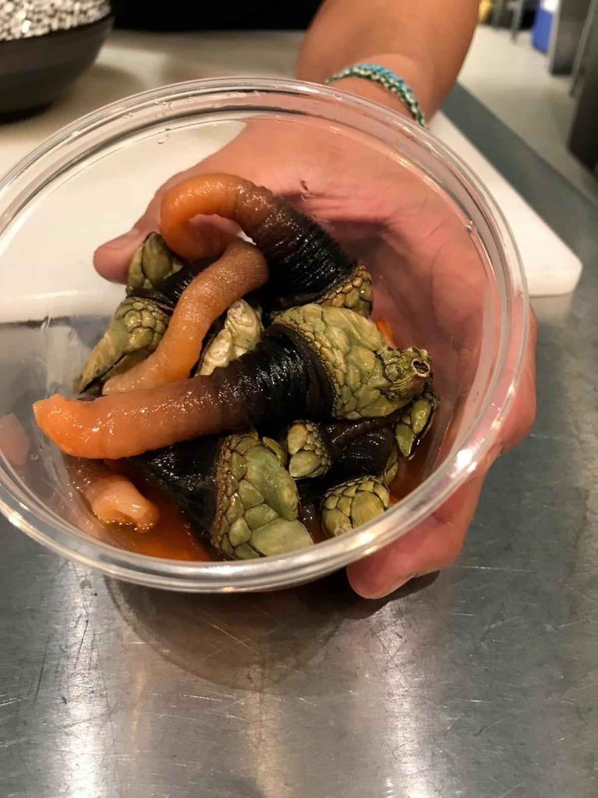 Gooseneck barnacles are among the interesting specialty seafood items that have distinguished Jarocho’s chef Carlos Falcon as a culinary risk taker.
