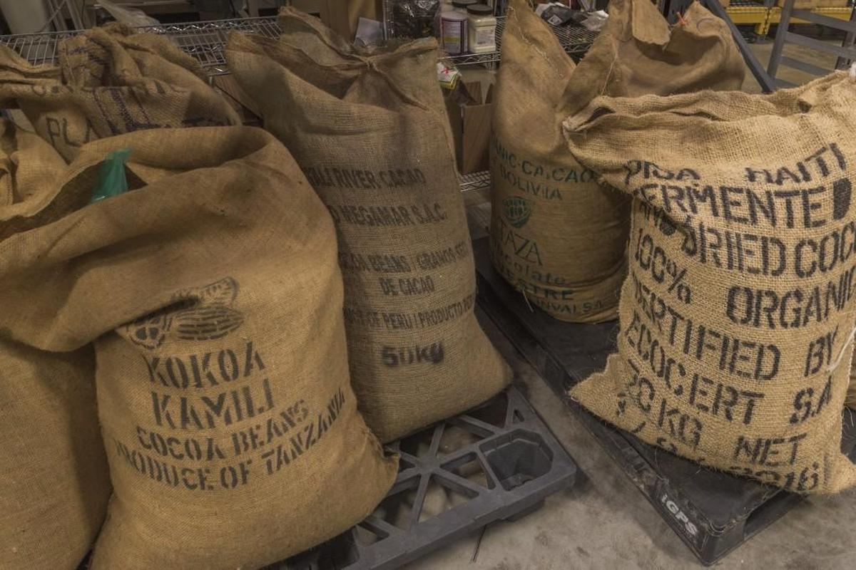 Elbow will source cocoa beans from about a dozen countries.