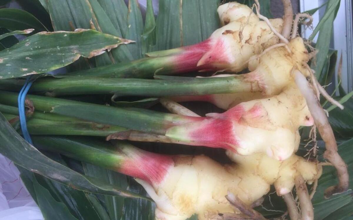 
Fresh ginger
