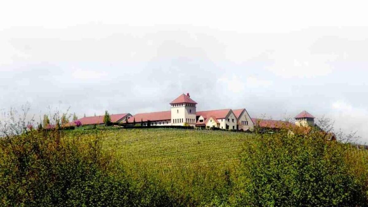 Founded by Ed King III, King Estate has grown to one of the most prominent wineries in Oregon with 1,033 certified-organic acres.