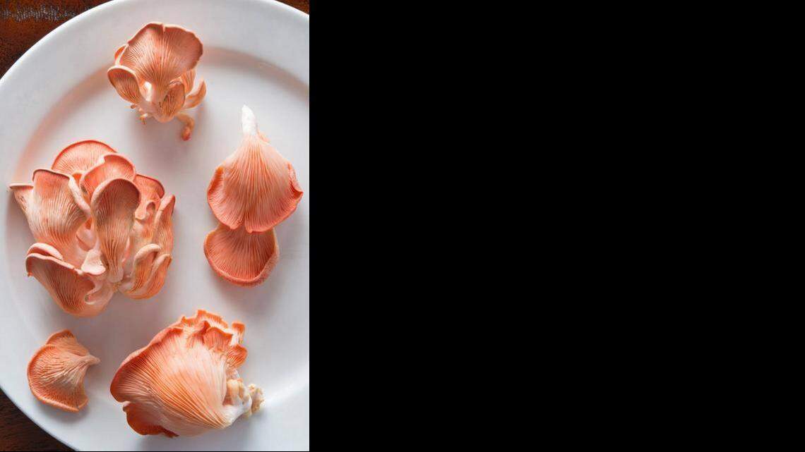 
Chef Renee Kelly buys pink oyster mushrooms from Trammell Treasures Mushroom Farm in Warrensburg, Mo.
