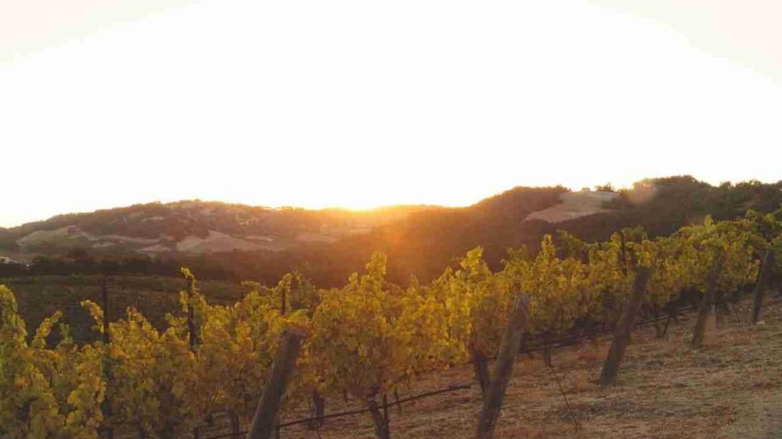Wine from Paso Robles along California’s central coast has never been better across the board.