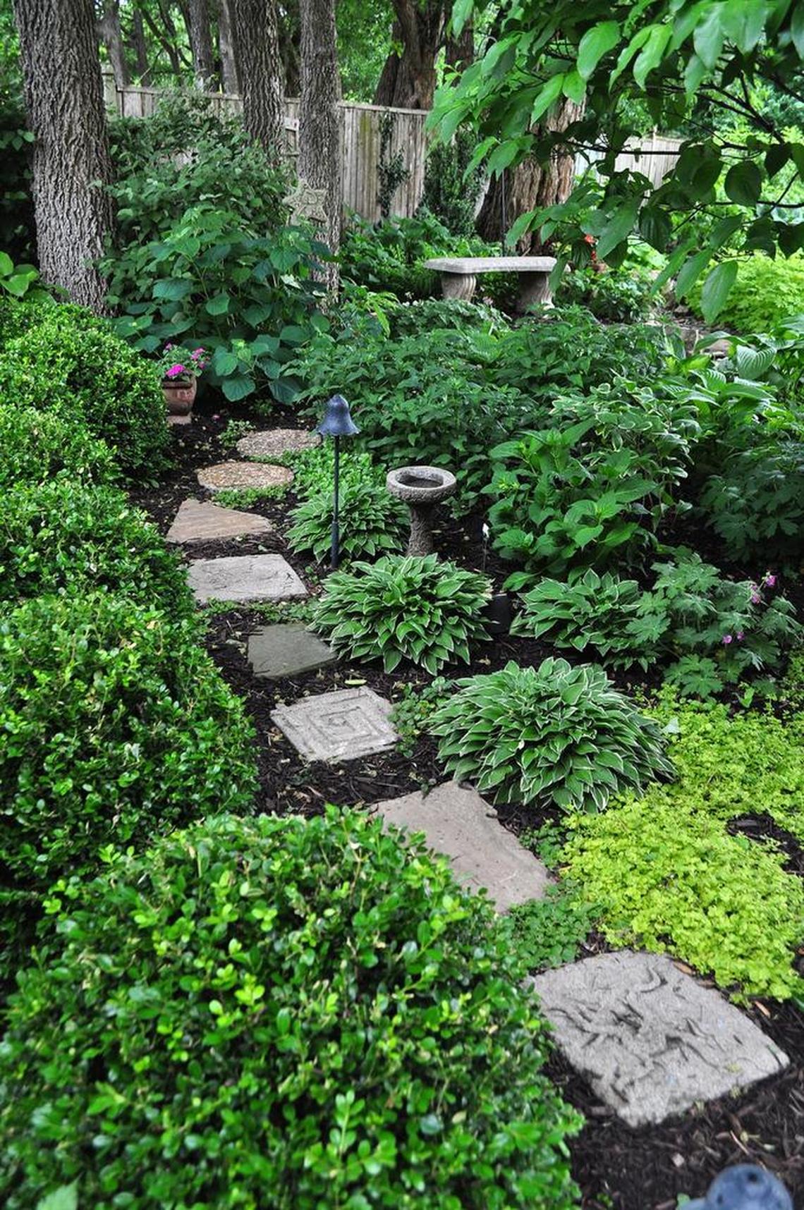 Paths made of various materials, from stepping-stones to mulch, can provide visual interest.