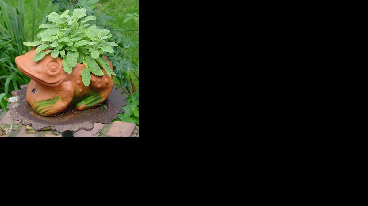 
Frog planter
