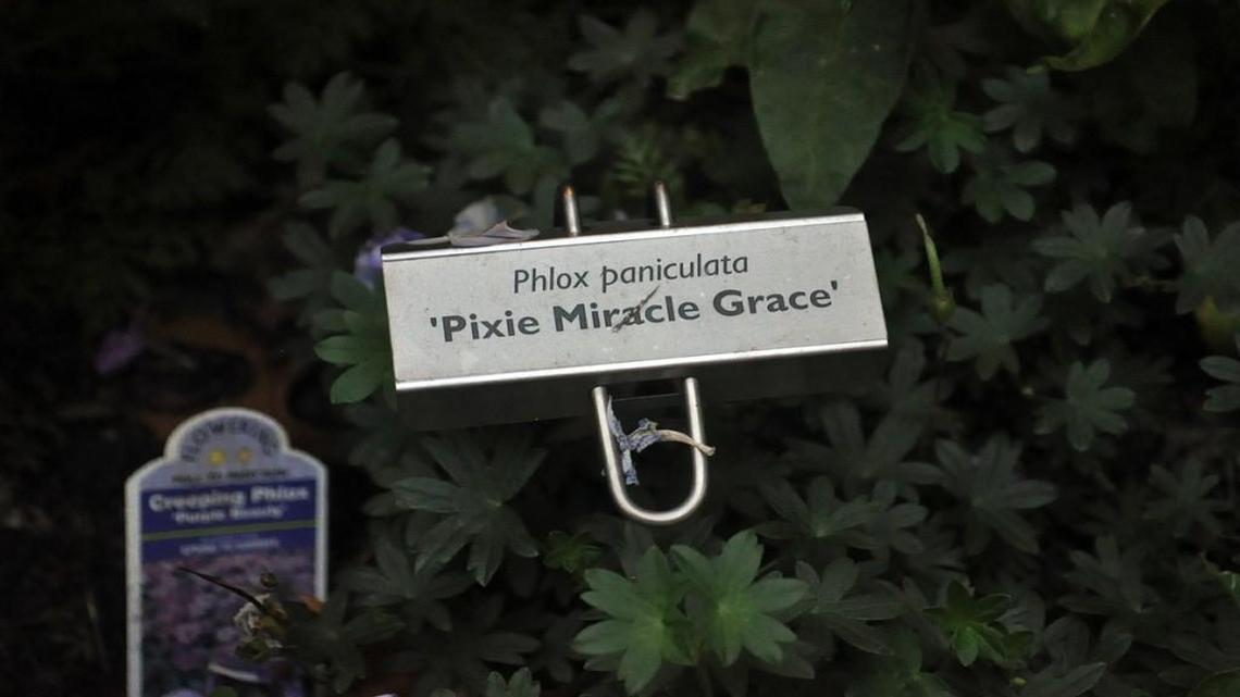 Plant labels - many options.