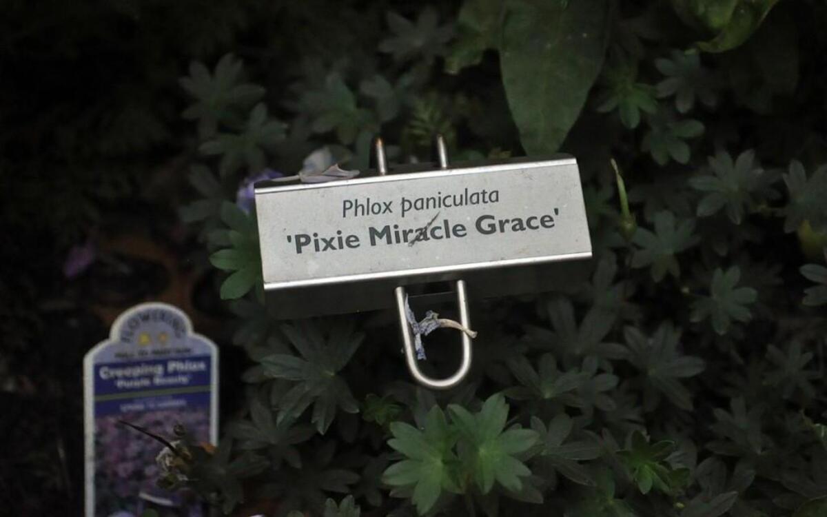 Plant labels - many options.