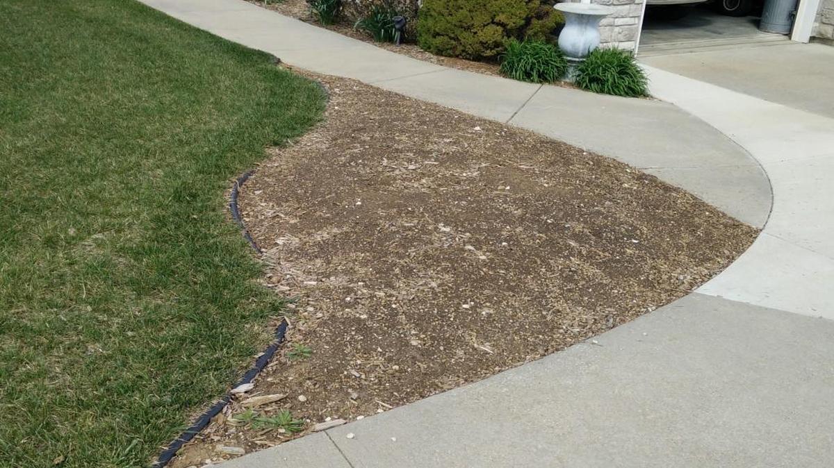 What’s a good tree for this location?