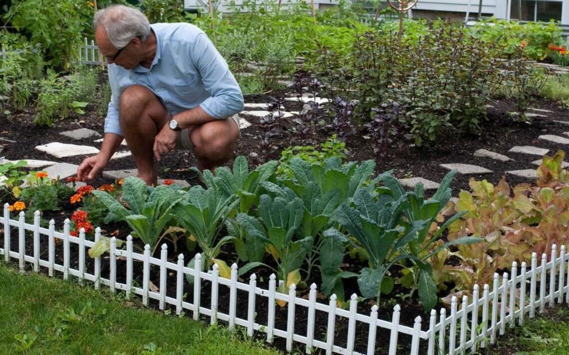Vegetable gardens can be prettiest plantings on your property