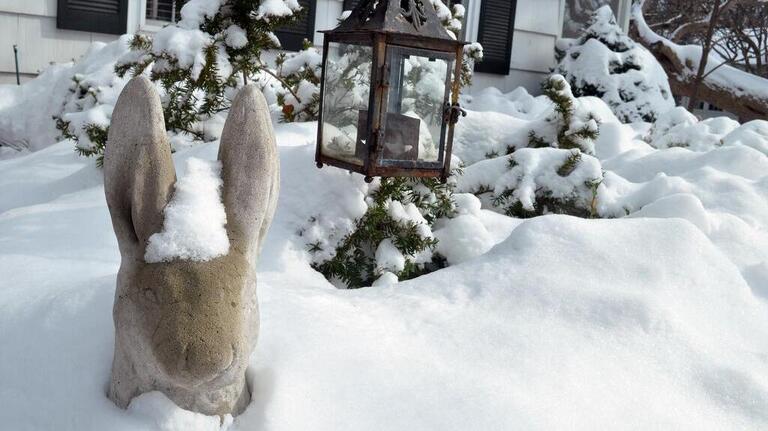 KC’s winter is cold and snowy, and that’s normal. Most but not all plants don’t mind