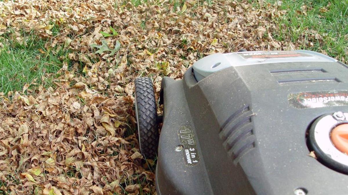 Mowing frequently over leaves saves time and the effort of raking and bagging them.