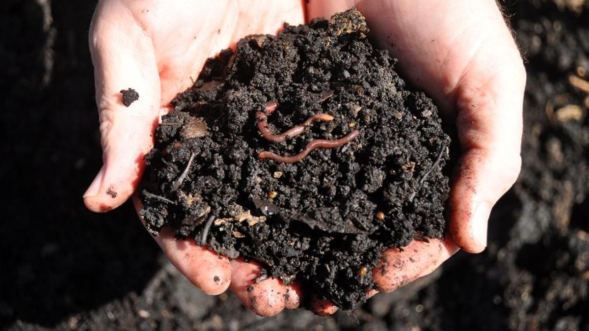 Break up the soil and add compost now and your garden will be ready to plant in spring.
