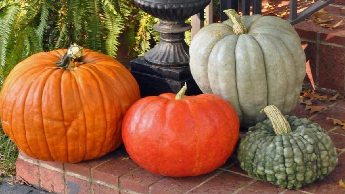 Pumpkins and squash decorate many porches in the fall.