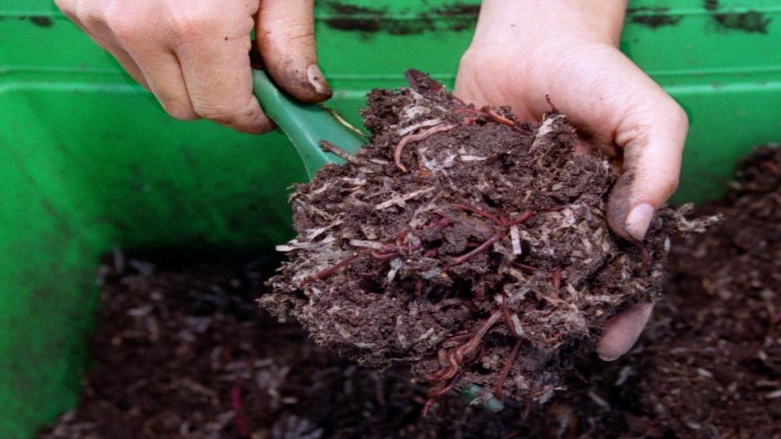 Should human bodies be broken down into compost? A bill on the governor’s desk would allow it in California.