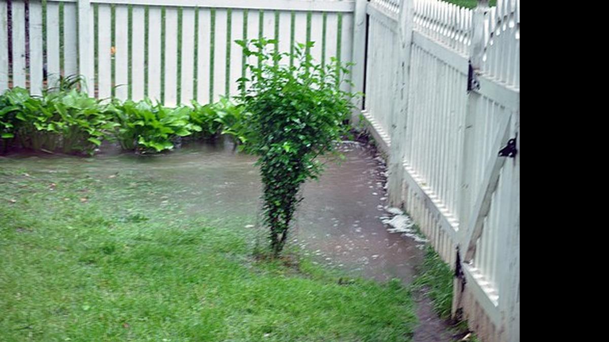 
Rainy landscape.
