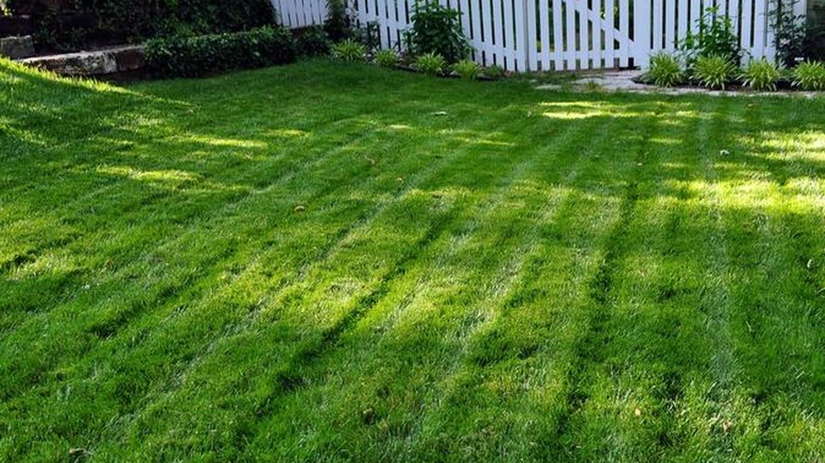 Long, straight mowing patterns reduce turns and save time.